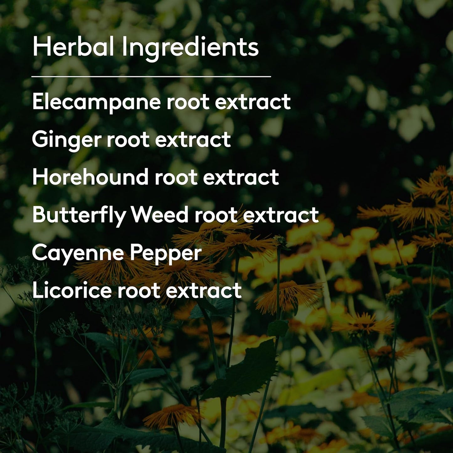 Deep Lung Support Tonic, Traditional Herbal Formula for Respiratory Wellness with Elecampane, White Horehound & Licorice Root, Liquid Absorption, Menthol Flavor, Plant-Based, 7.8 floz