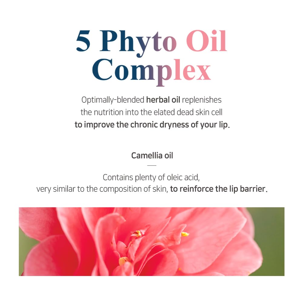 PETITFEE Sleeping Lip Mask Camelia Seed Oil 0.53 Oz. | Day & Night Repairing Balm, Overnight Lip Mask, Lip Treatment for Dull & Dry Lip, Deep Nourishing with Vitamin E, 5 Phyto Oil Complex