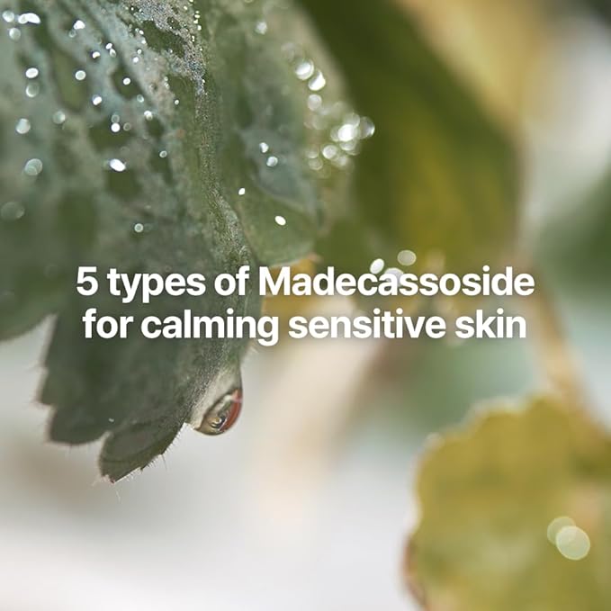 Pyunkang Yul PKY Calming Trial Gift Set, Exfoliating Toner, Soothing Serum, and Facial Skin Hydrating Cream, Vegan, Korean Skincare (3-item set) Stocking Stuffer Christmas Holiday New Year gift set