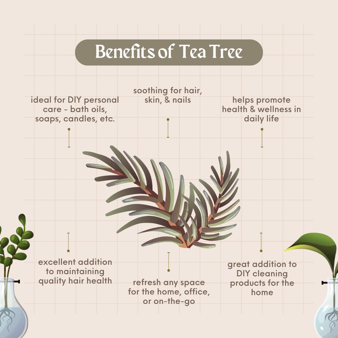 Tea Tree (Australia) Essential Oil - 16 fl oz (473 ml) Amber Glass Bottle w/Cap - 100% Pure Essential Oil - GreenHealth