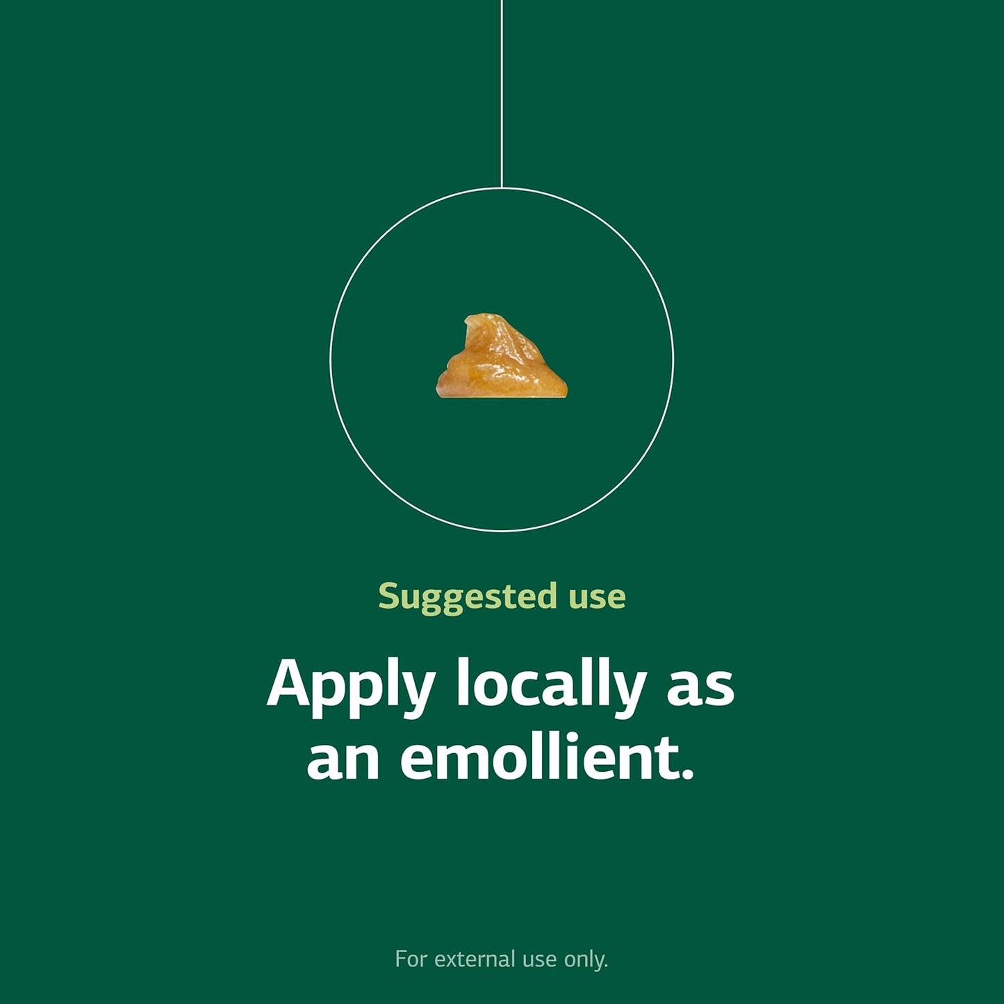 Standard Process USF Ointment - Supports Soft, Healthy Skin - Moisturizing Skin Cream for Dry Hands & Body - 1.8 oz