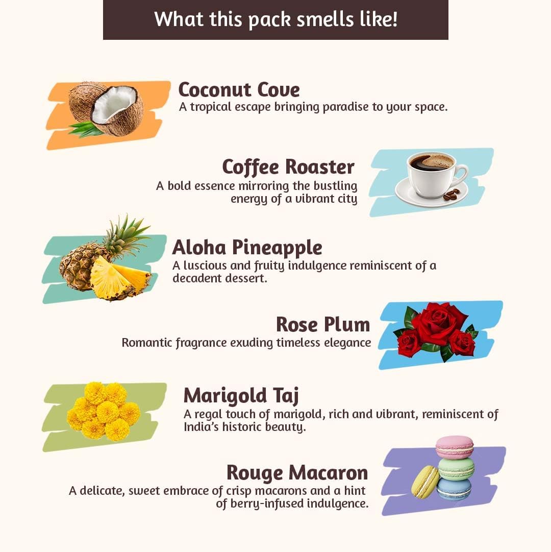 Folkulture Incense Stick with Holder for Gift | Set of 6-120 Organic Fall Insence-Sticks with 45 Mins Burn Time | Non Toxic Coconut Insense Sticks or Fall Scents, Coffee, Rose | Travel Incensios