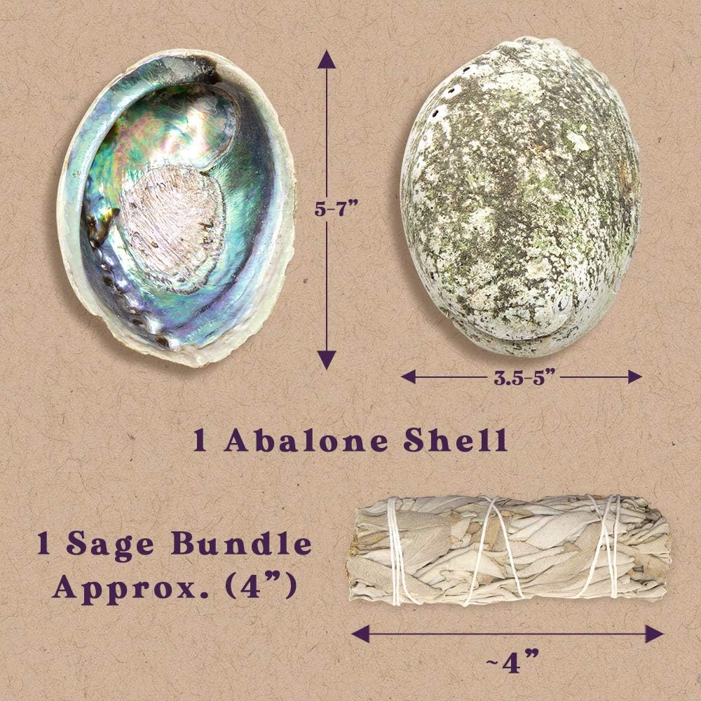 Purple Canyon Authentic Sage Smudge Kit with Abalone Shell for Smudging New Homes & Apartments
