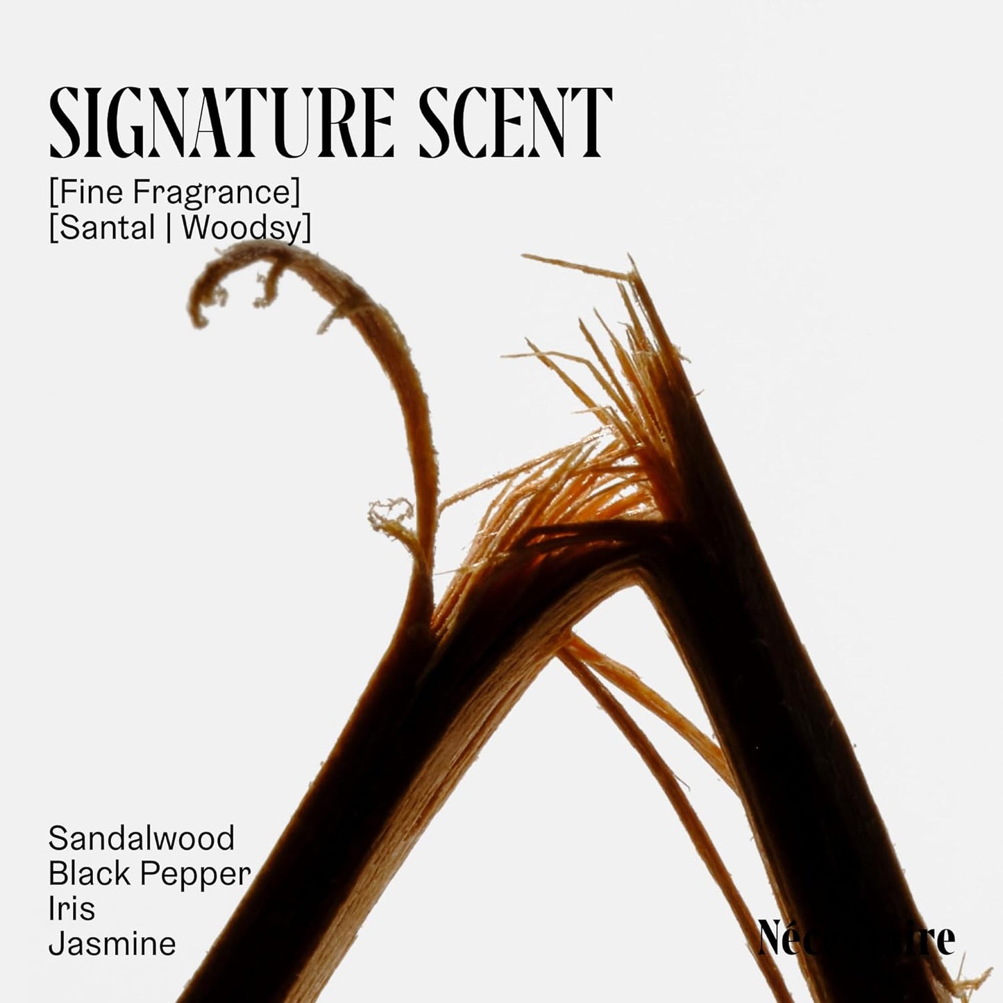 Nécessaire The Body Wash - Collection Set. Self Care Gifts for Women + Men, 4x Travel Size Skin Care Set, Natural Body Wash for Women + Men. With Vitamins + Niacinamide. Gel Cleanse, 3.4 fl oz.