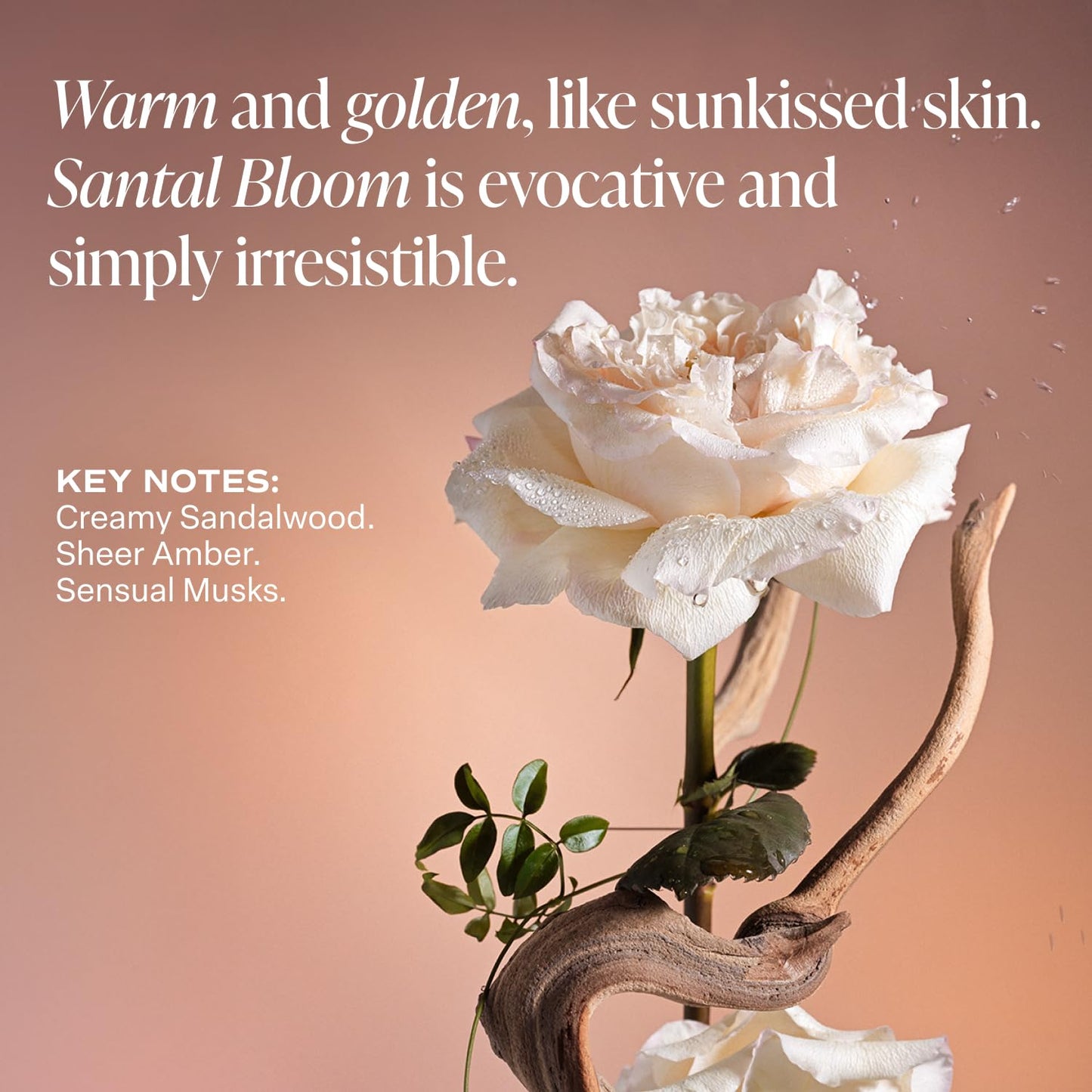 Saltair Skincare Deodorant - Aluminum-Free Deodorant for Women with Long Lasting Odor Protection Zinc and BHA. Refillable Stick, Suitable for Sensitive Skin, 2 Pack Santal Bloom Scent