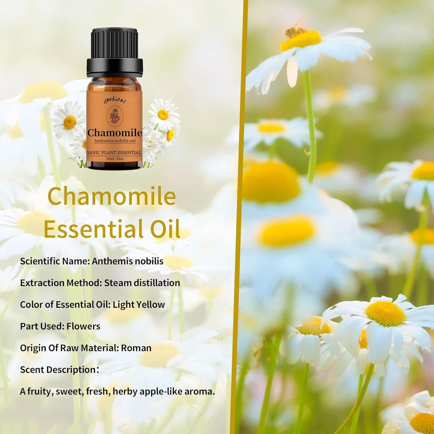 yethious Rose Jasmine Chamomile Essential Oil Set Organic 100% Pure Aromatherapy Oil for Diffuser, Soap, Candle Making 3 X 10ML