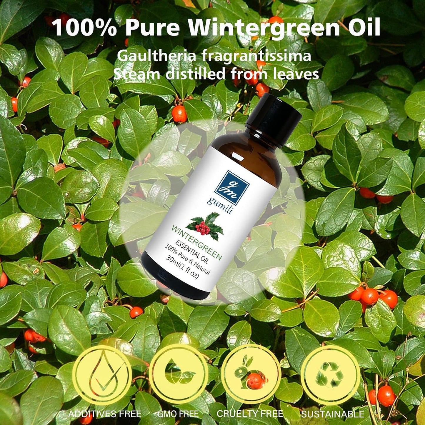 Wintergreen Essential Oil, 100% Pure Undiluted Wintergreen Oil for Aromatherapy - 30ml/1 oz