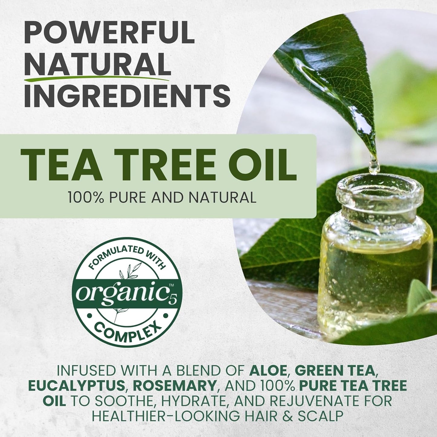 Tea Tree Oil Shampoo MaxTherapy, Itchy Scalp Relief, Refreshes & Cleanses Dandruff & Buildup, Clarifying for Oily Hair, Women & Men, 16 fl oz