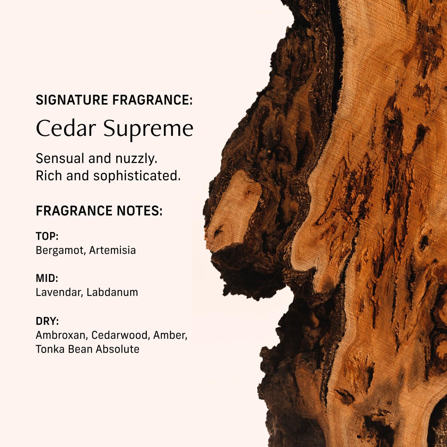 Perfume Oil Roll-On. Travel-Friendly Cedar Supreme Fragrance With Bergamot, Lavender, and Cedarwood. Long-Lasting Essential Oil Parfum For Women and Men. 0.5 Fl Oz Scented Rollerball Bottle