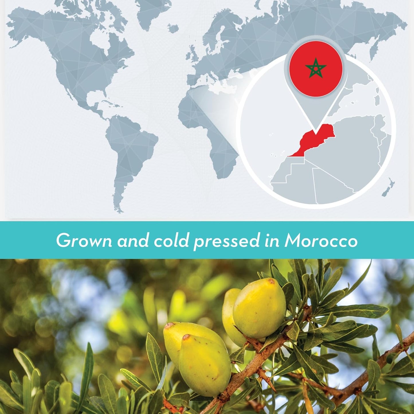 Bulk Argan Oil - Large 1 Gallon Jerrican - Natural, Cold Pressed, 100 Percent Pure Argan Oil for Homemade Hair, Face and Skin Products - Light Aceite de Argan Carrier Oil