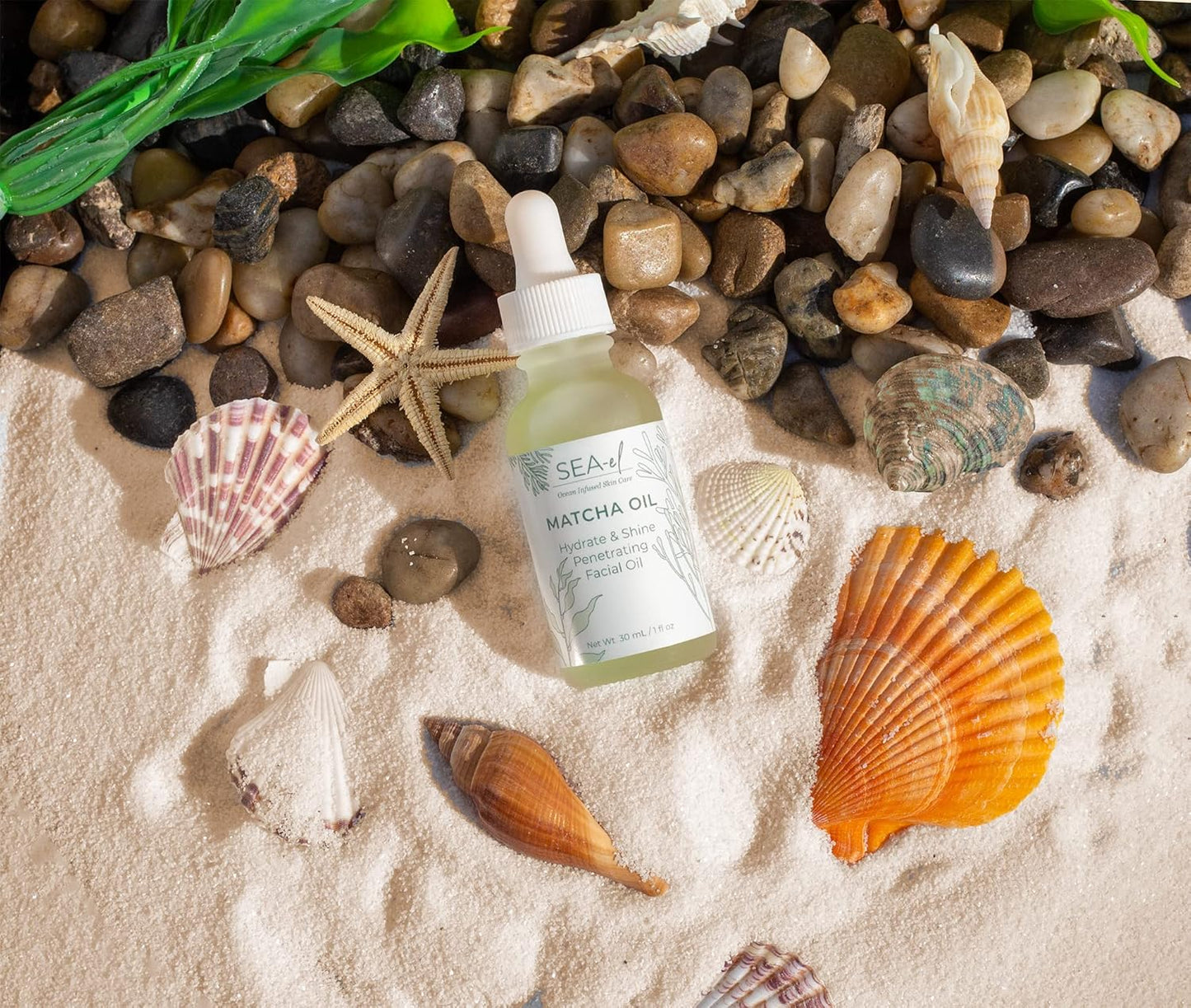 Sea-El Matcha Face Oil Skincare - Hydrating Glow Green Tea & Sea Kelp Facial Oil Blend - Calming & Deeply Penetrating Antioxidant-Rich Moisturizer for Women & Men, Vegan, All Skin Types - 1 Fl Oz