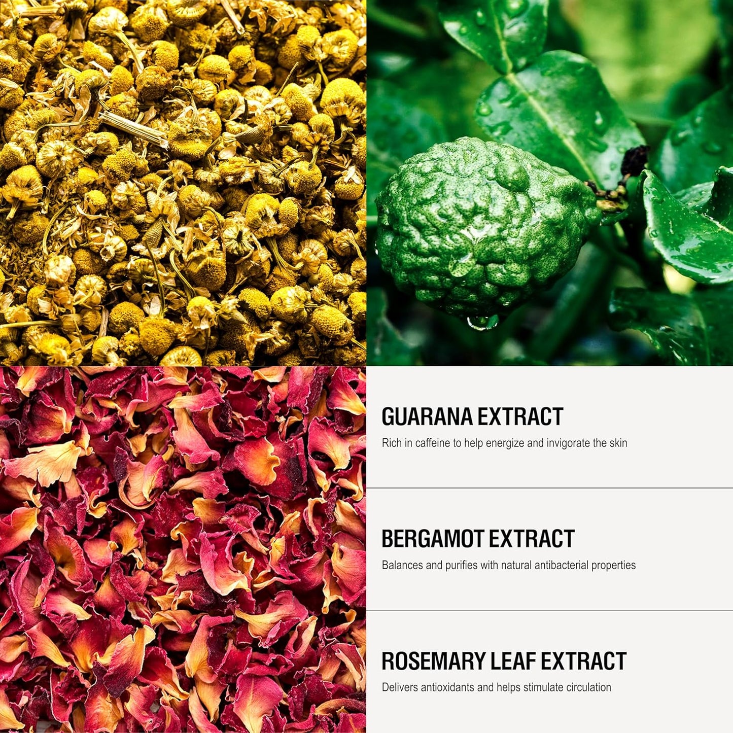 Grown Alchemist Energize Body Cleanser. Chamomile, Bergamot & Rose Body Cleanser. Gentle Body Wash. Hydrates & Cleanses Skin (500 ml)